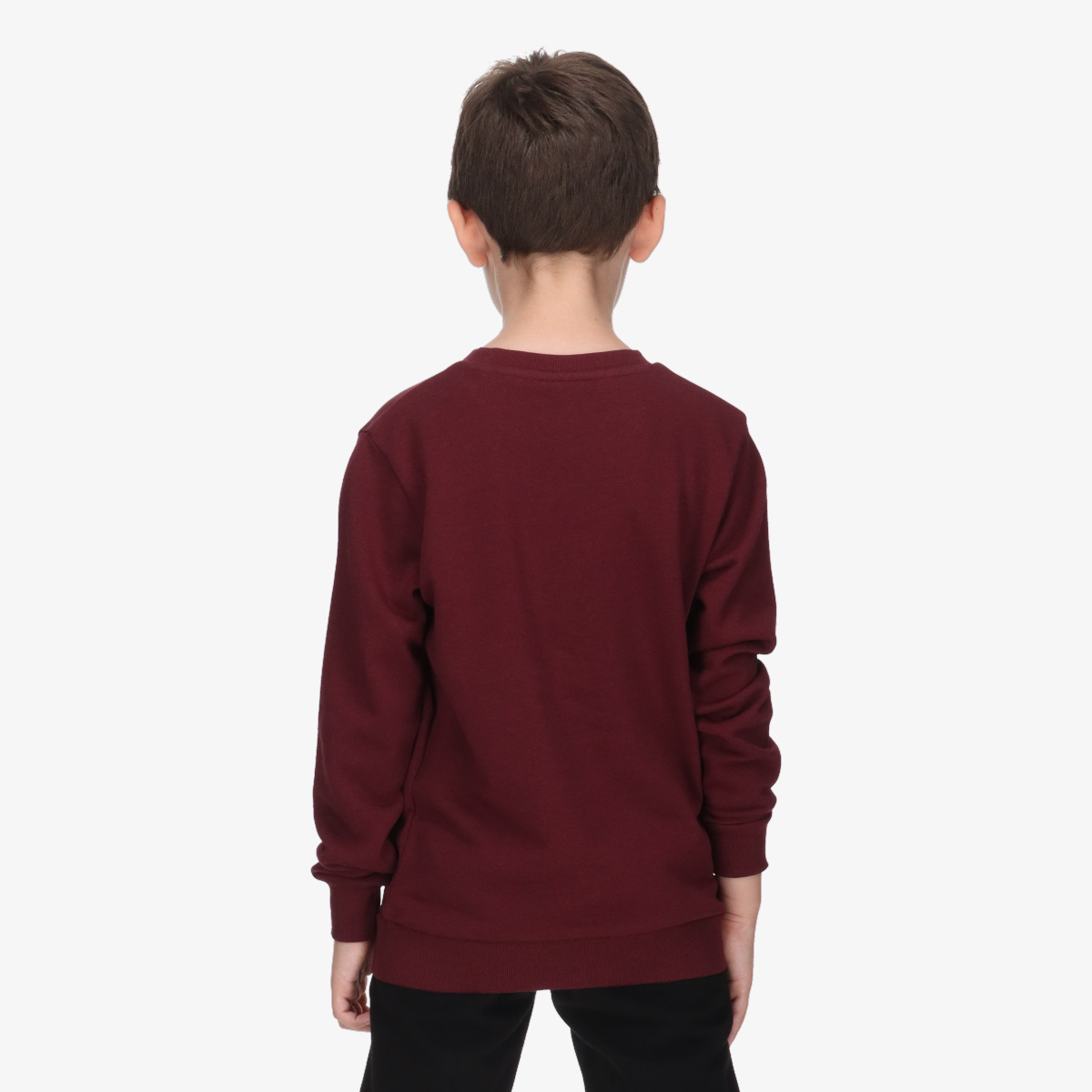 Champion SKATE LIFE CREWNECK thumbnail 2