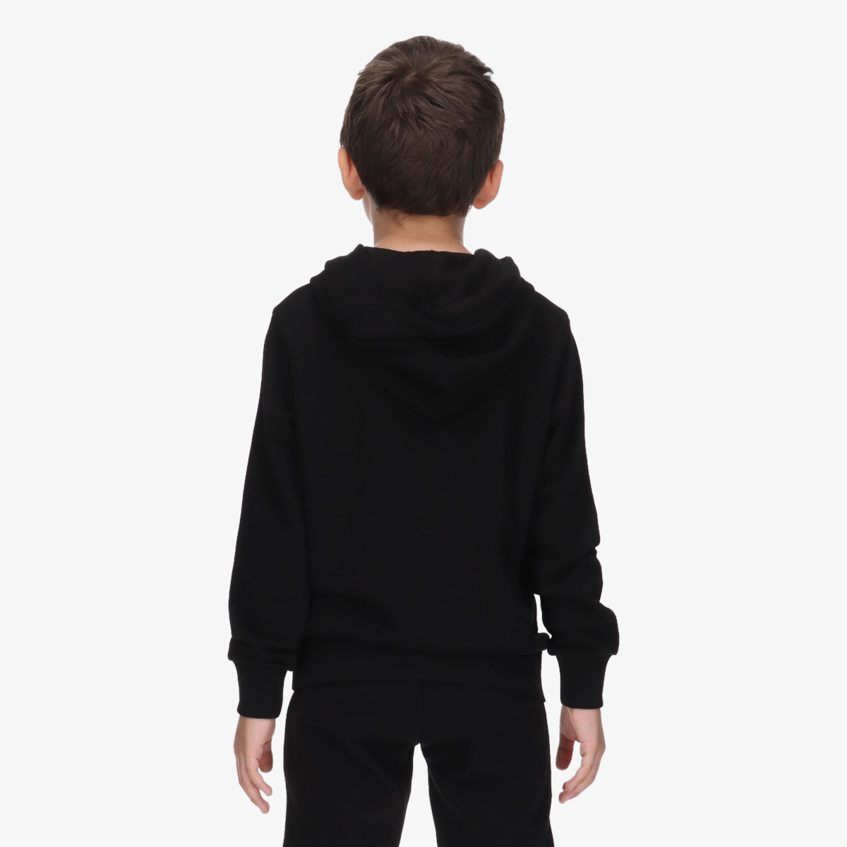 Champion SKATE LIFE HOODY thumbnail 2