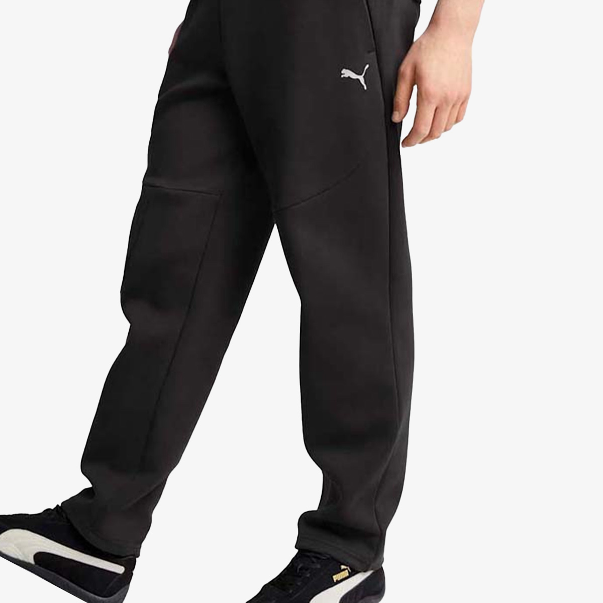Puma Pumatech