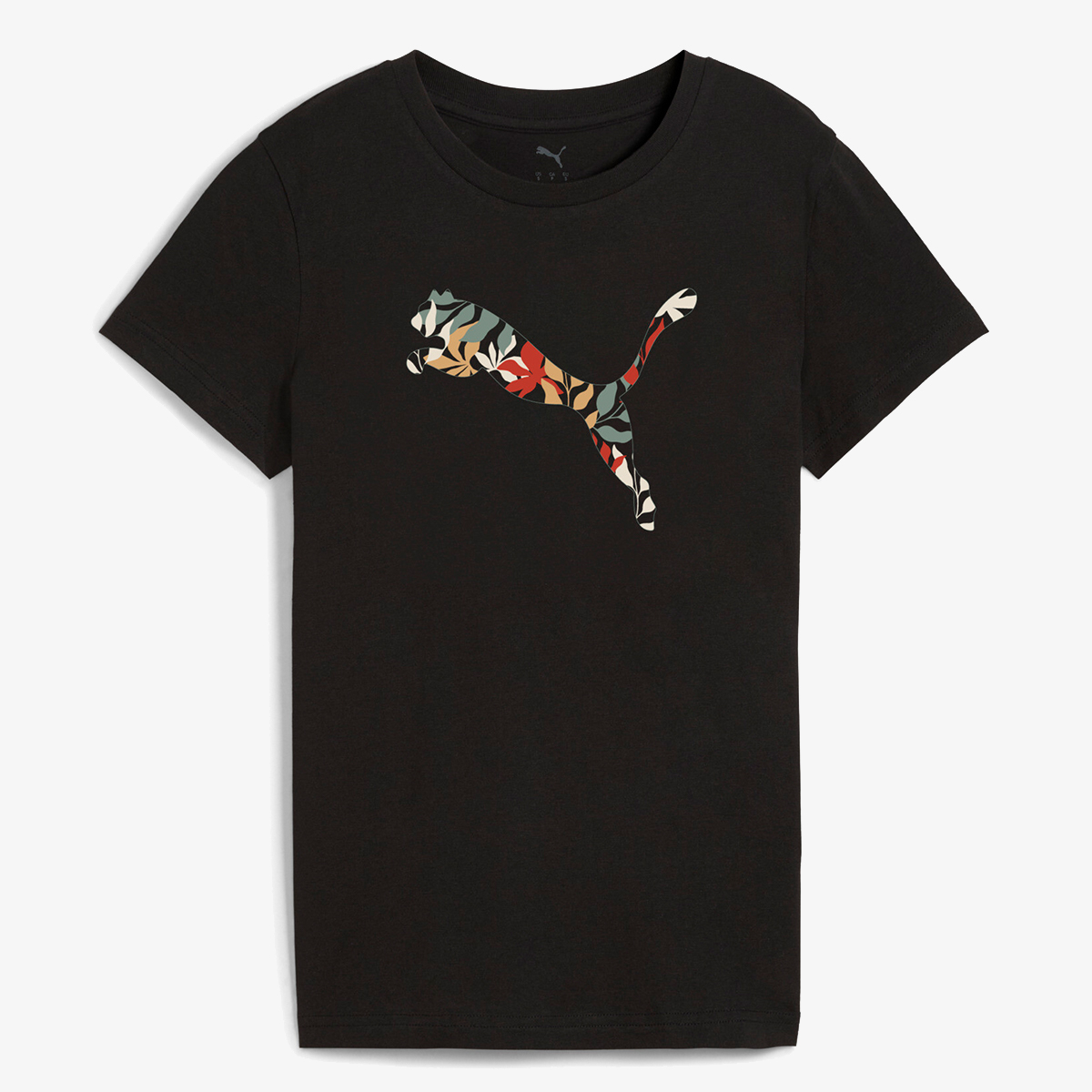 Puma Graphics