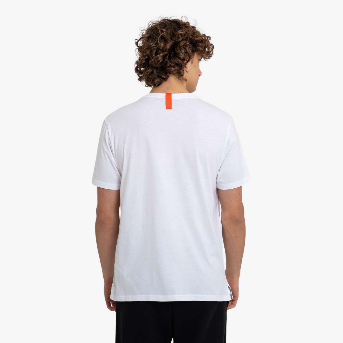 Champion Sport thumbnail 2