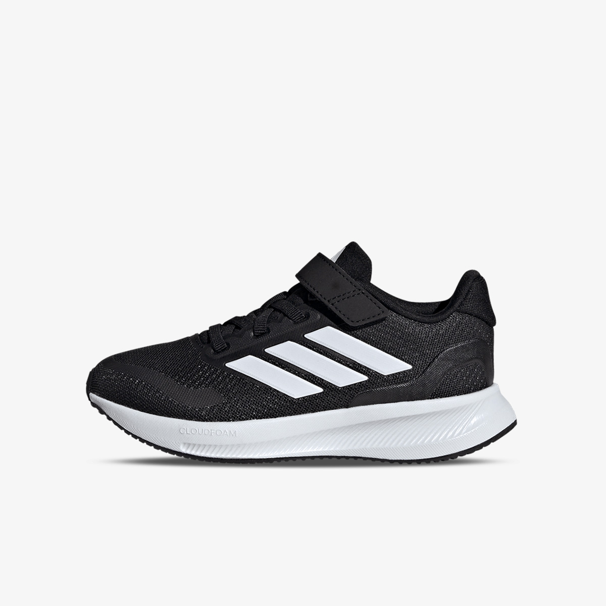 あやめ⭐️ IE8574.jpg