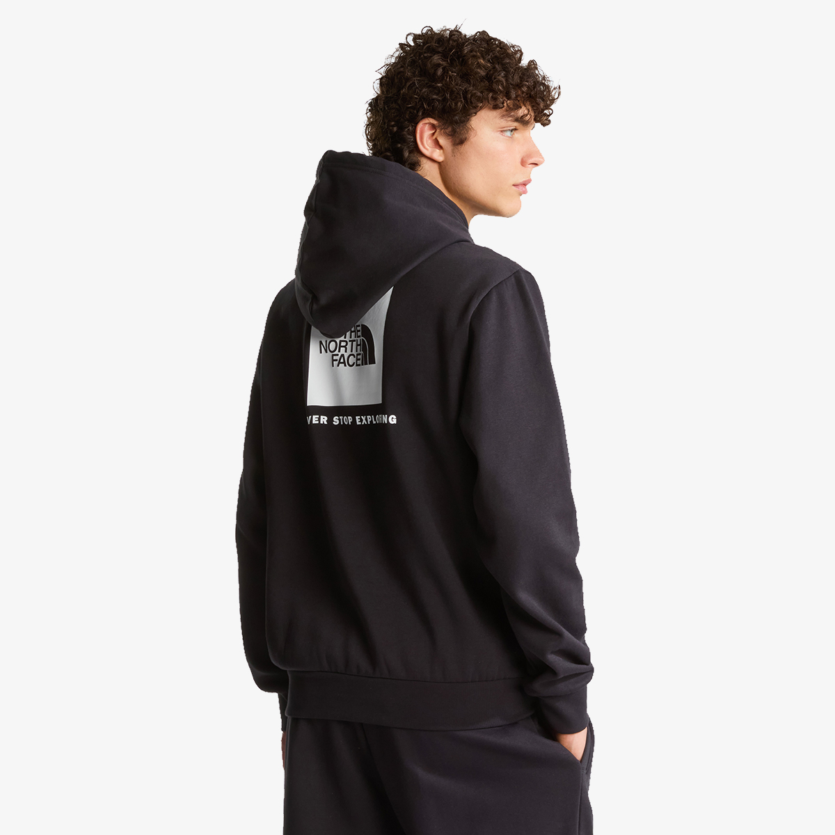The North Face M EVOLUTION BOX NSE REGULAR HOODIE thumbnail 2