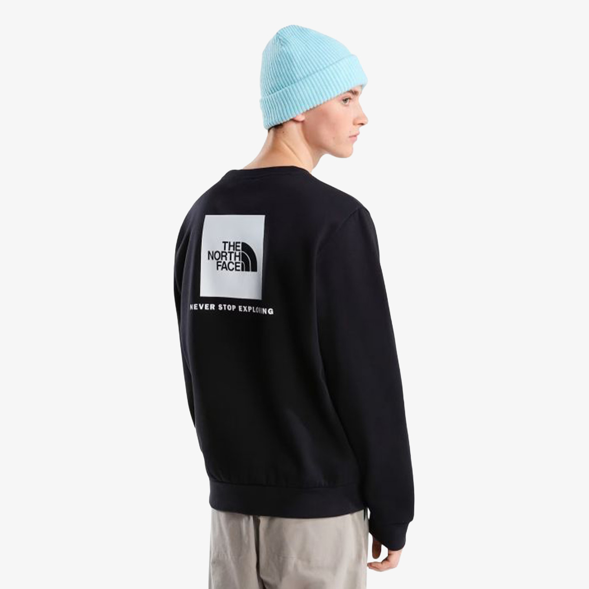 The North Face M EVOLUTION BOX NSE REGULAR CREW thumbnail 2
