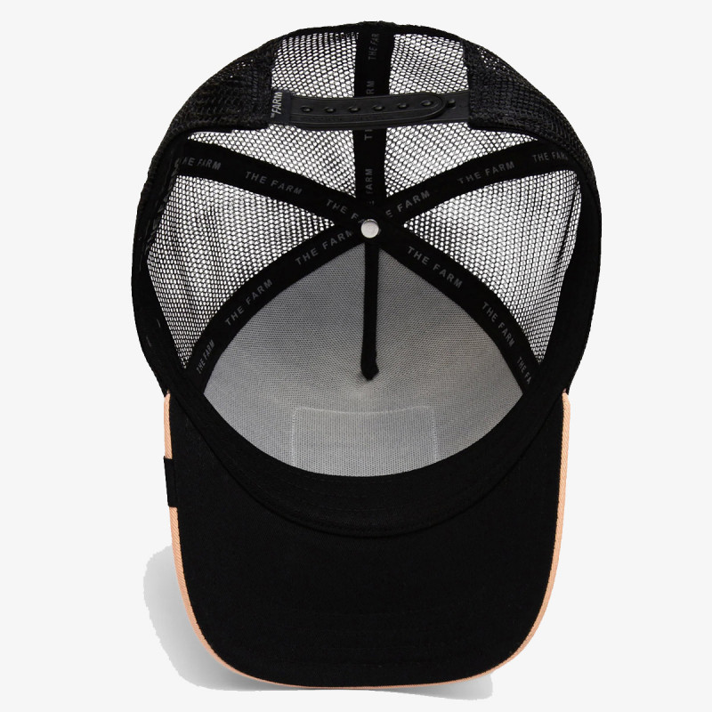 Goorin Bros Circwool of Life 