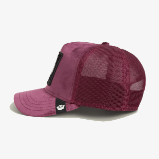 Goorin Bros Circwool of Life 