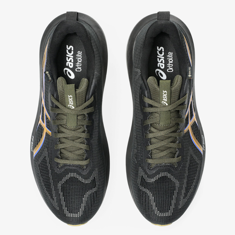Asics GT-1000 14 GTX 
