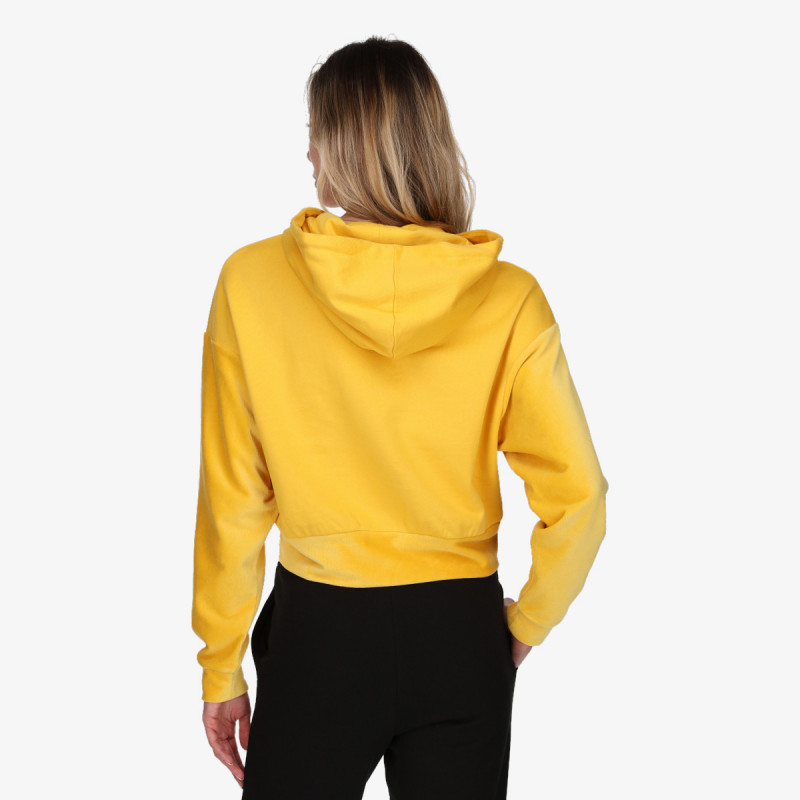 Champion Velour 