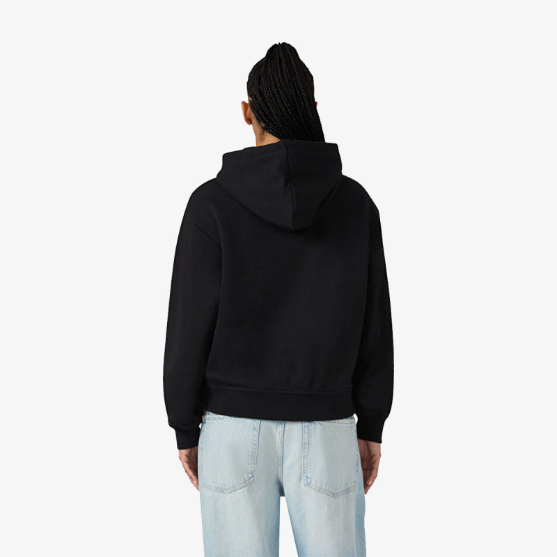 Champion Hooded Sweatshirt 
