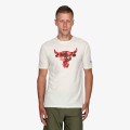 Under Armour Project Rock Brahma Bull 