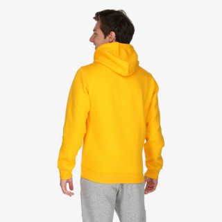 Champion Hooded Sweatshirt 