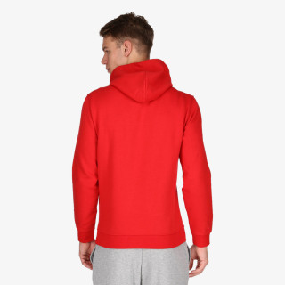 Champion Hooded Sweatshirt 