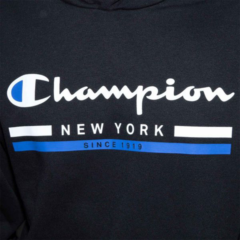 Champion Hooded Sweatshirt 