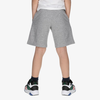 Champion Shorts 
