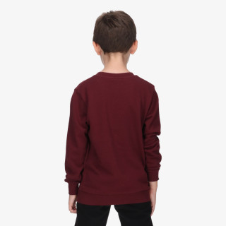 Champion SKATE LIFE CREWNECK 