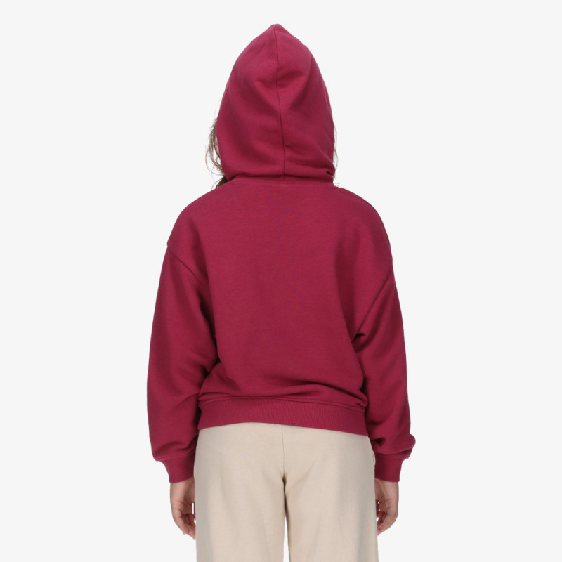 Champion Hooded Sweatshirt 