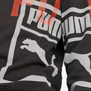 Puma CLASSICS GEN. Crew TR 