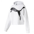 Puma PUMA MODERN SPORT HOODY 