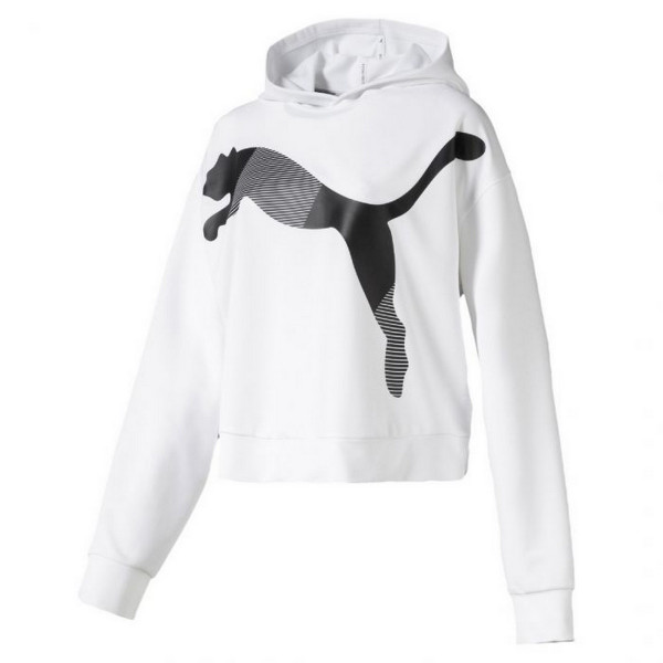 Puma PUMA MODERN SPORT HOODY 
