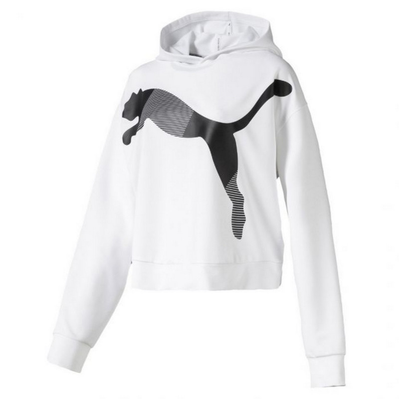 Puma PUMA MODERN SPORT HOODY 