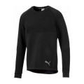 Puma PUMA EVOSTRIPE CREW 