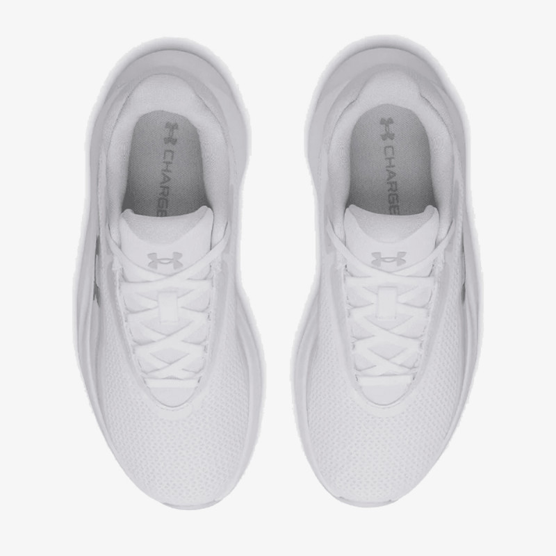 Under Armour UA W Radiant TR 