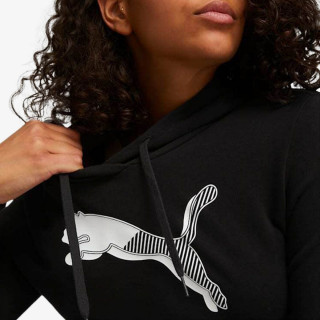 Puma PUMA POWER GRAPHIC HOODIE TR 