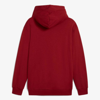 Puma PUMA POWER GRAPHIC HOODIE TR 