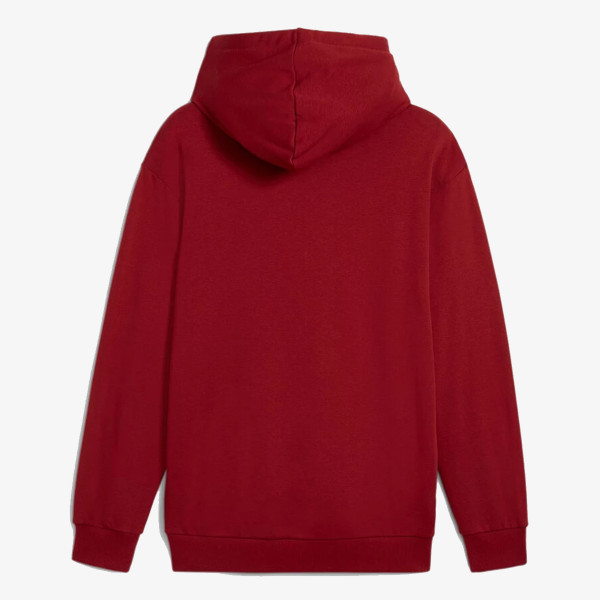 Puma PUMA POWER GRAPHIC HOODIE TR 