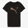 Puma Graphics 