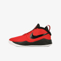 Nike TEAM HUSTLE D 9 GS 