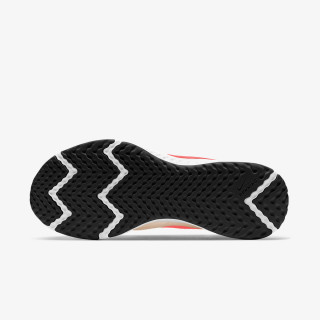 Nike Revolution 5 