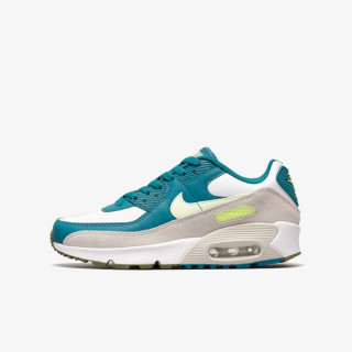 Nike NIKE AIR MAX 90 LTR GS 