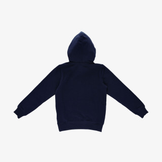 Champion BOYS ROCH HOODY 