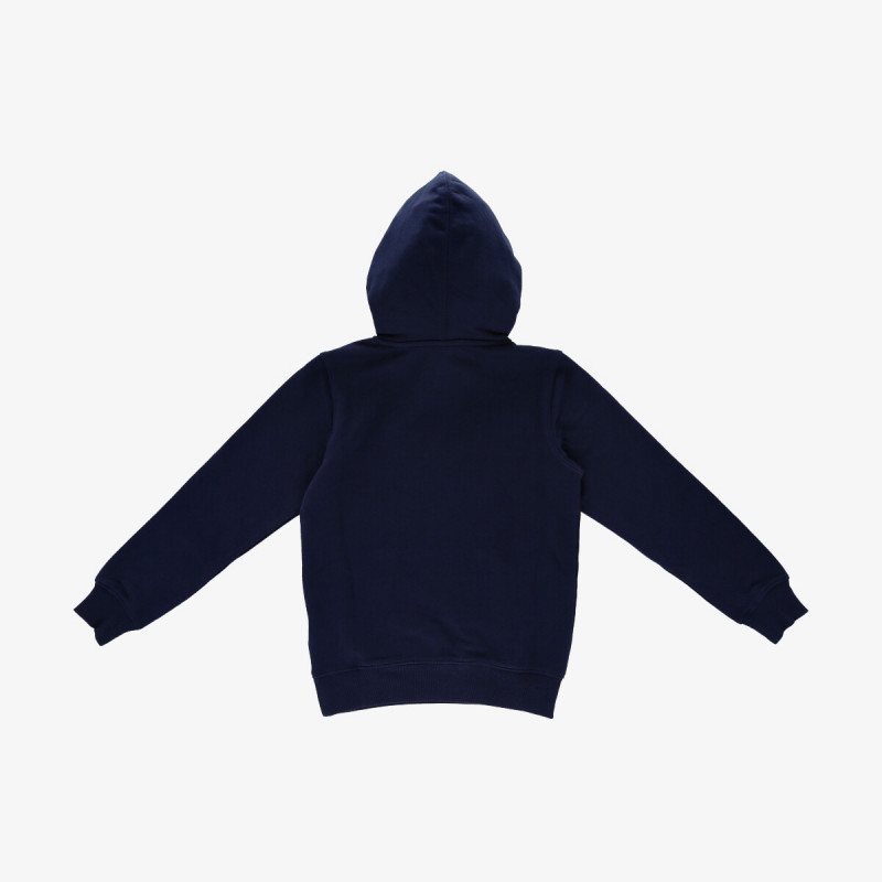 Champion BOYS ROCH HOODY 