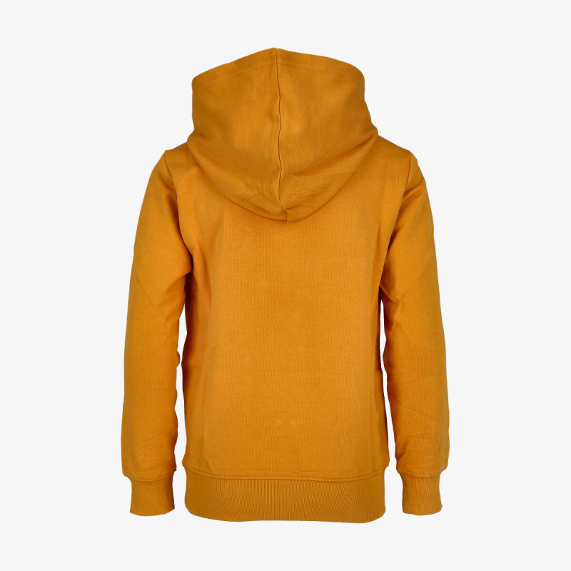 Champion BASIC 