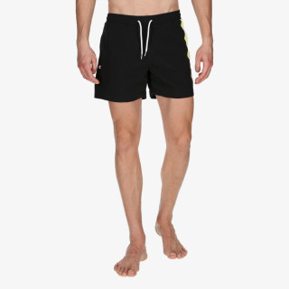 Champion Stripe 