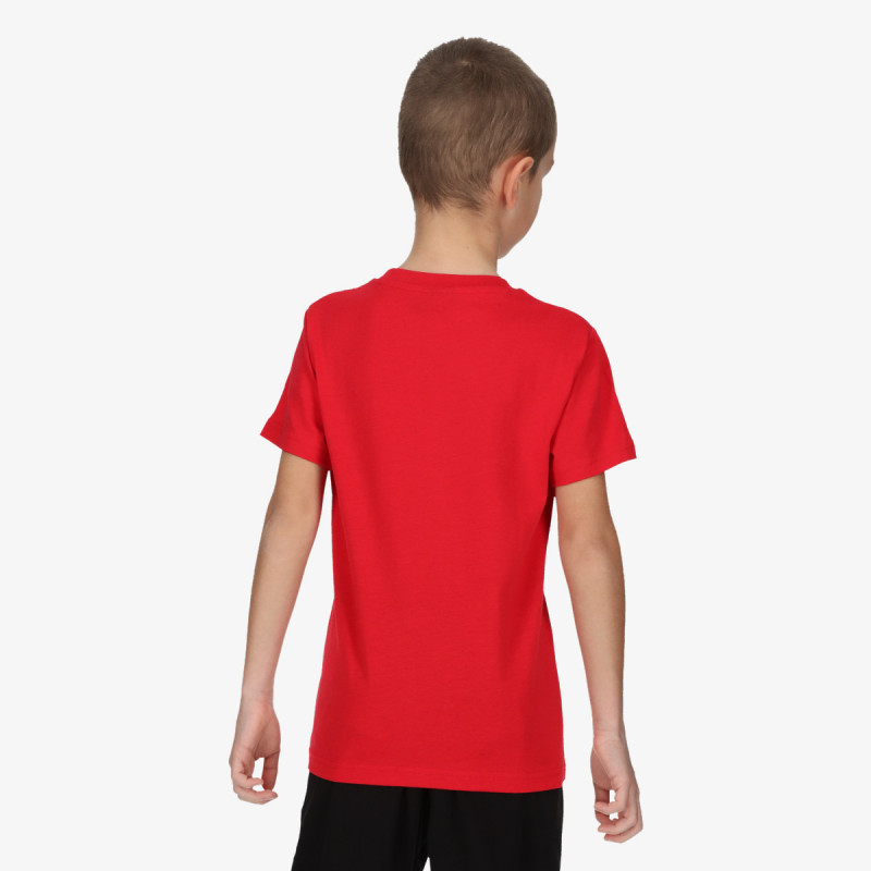 Champion 19 