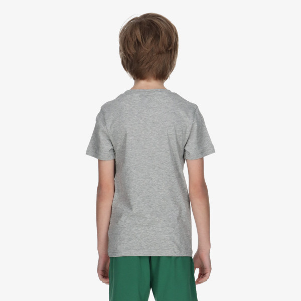 Champion Authentic 