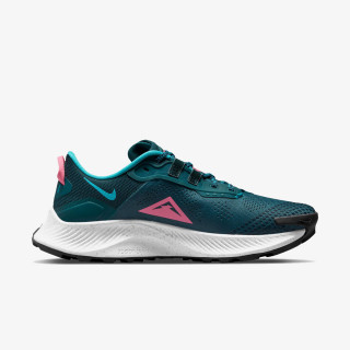 Nike Pegasus Trail 3 