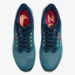 Nike Air Zoom Pegasus 39 