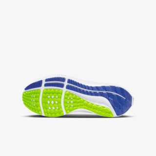 AIR ZOOM PEGASUS 39 