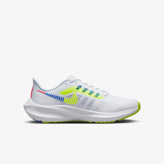 AIR ZOOM PEGASUS 39 
