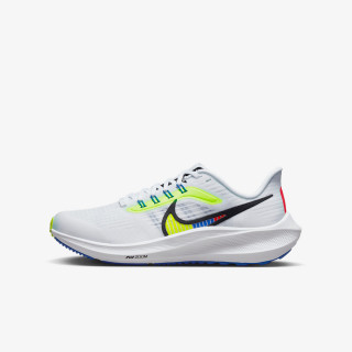 AIR ZOOM PEGASUS 39 