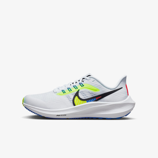 AIR ZOOM PEGASUS 39 