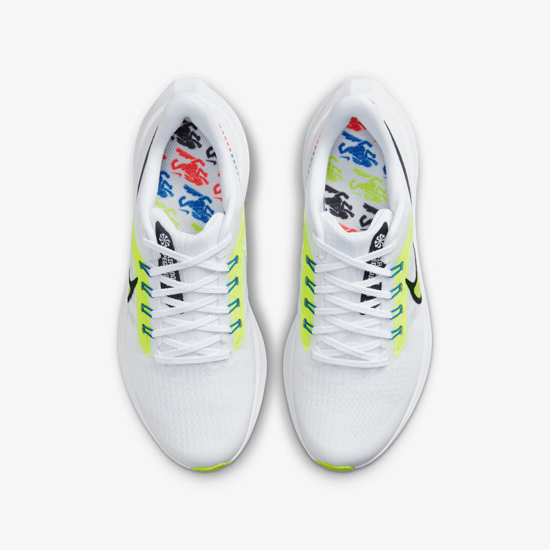 AIR ZOOM PEGASUS 39 