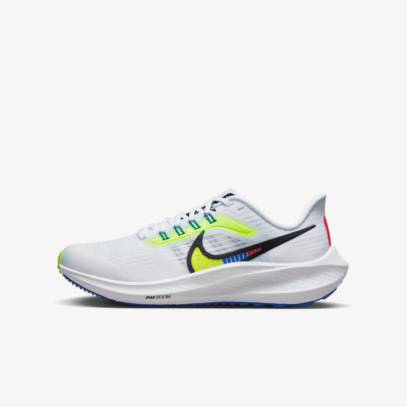 AIR ZOOM PEGASUS 39 