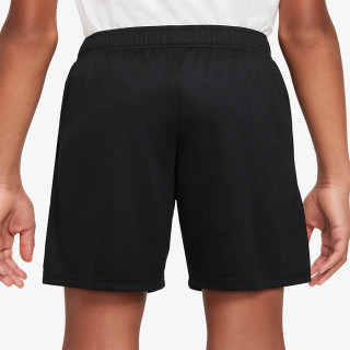 Nike Dri-FIT 