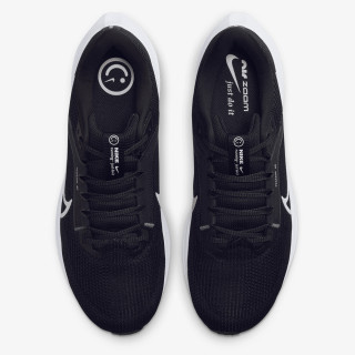 Pegasus 40 