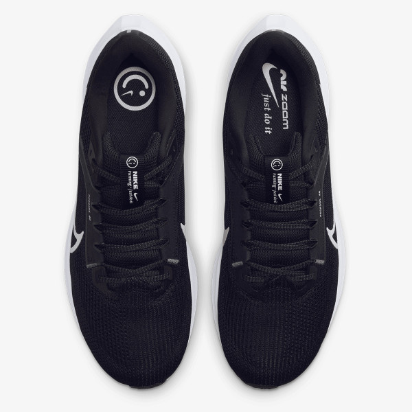 Pegasus 40 